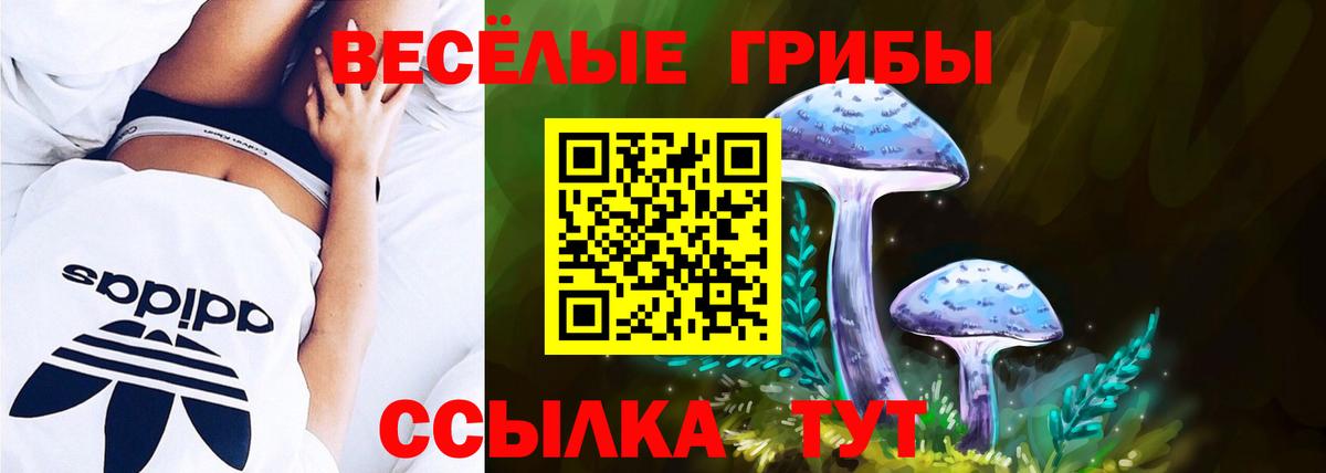 Псилоцибиновые грибы Psilocybe  Вход с VPN  Гуково 